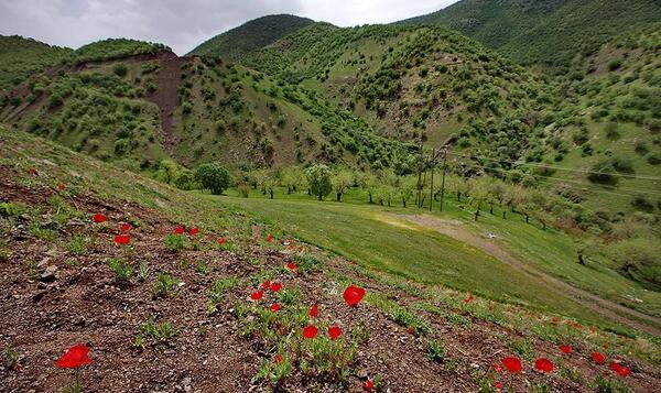 عکس تصاویر زیبای طبیعت کرمانشاه