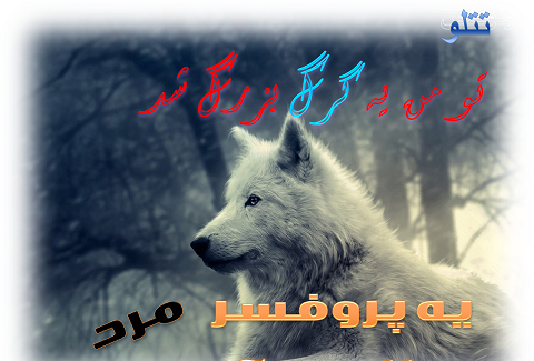 عکس نوشته زیبا گرگ