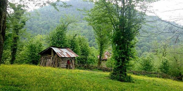 عکس طبیعت شمال ایران