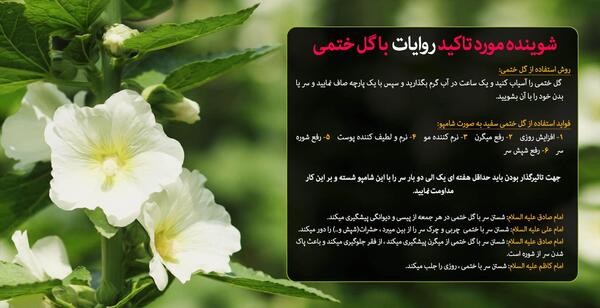 عکس گل ختمی