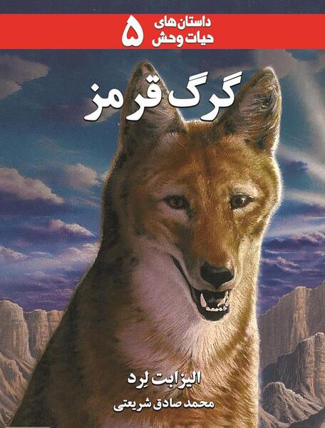 عکس گرگ حیات وحش