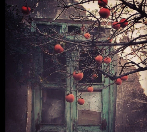 عکس باران و پنجره