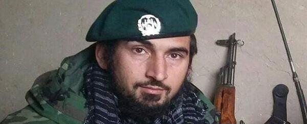 عکس حامد سیفی