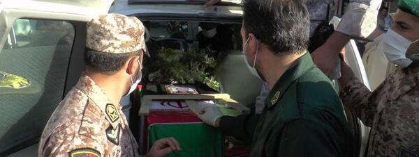 عکس حامد سیفی