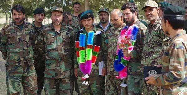 عکس حامد سیفی