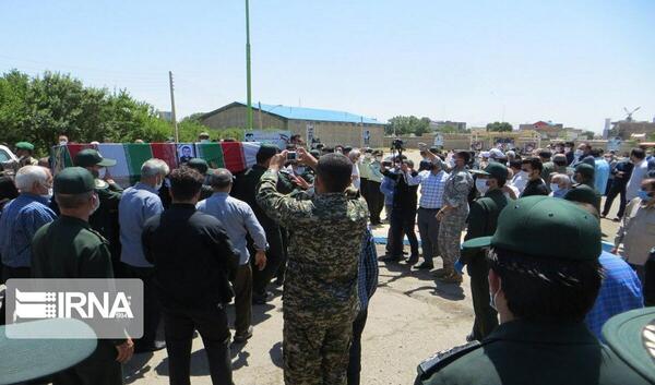 عکس حامد سیفی