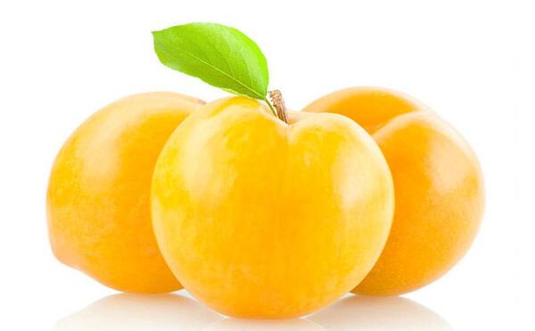 عکس آلو قطره طلا