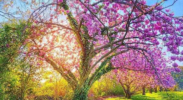 عکسهای زیبای طبیعت سه بعدی