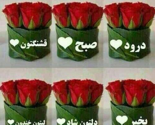 عکس صبح بخیر به خواهر