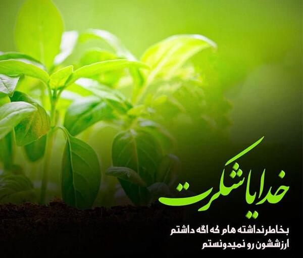 عکس نوشته خدایا شکرت ک هستی