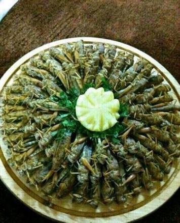 عکس ایده برای مسابقه آشپزی