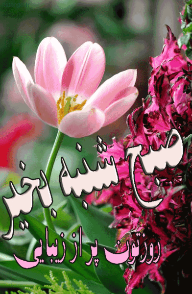 عکس صبح بخیر روزهای هفته