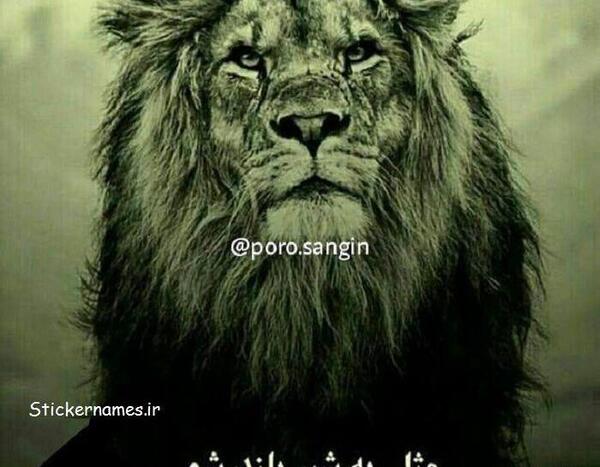 عکس تولدم مبارک لاتی