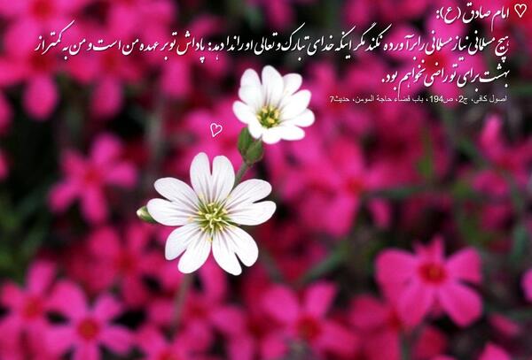 عکس حدیث از امام زمان