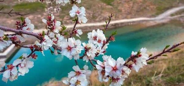 عکس های بهاری از طبیعت