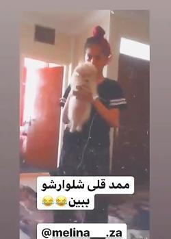 عکس محمد قلی نژاد