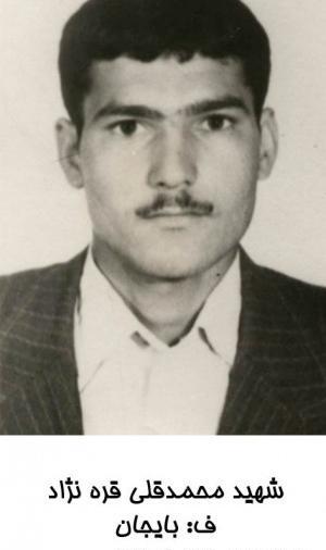 عکس محمد قلی نژاد