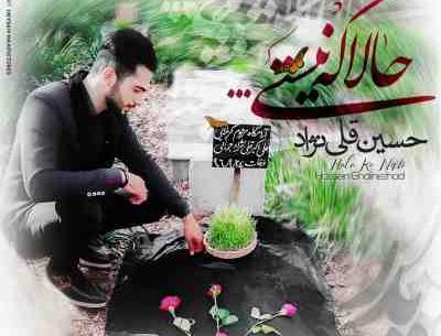 عکس محمد قلی نژاد
