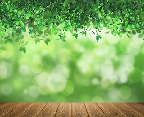 عکس منظره سبز و زیبا