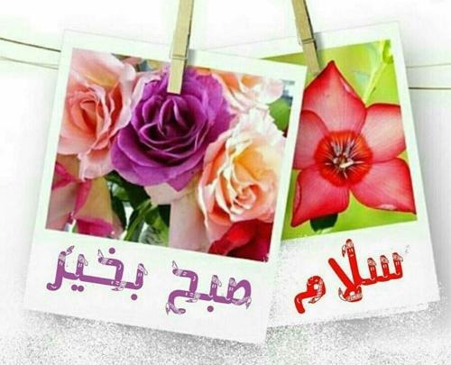 عکس صبح بخیر جدید و زیبا