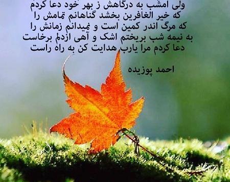 عکس نوشته های ناب عرفانی