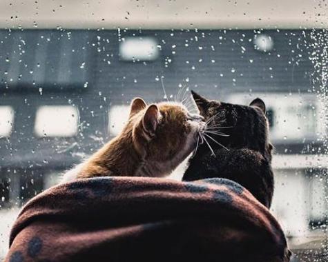 عکس نوشته طنز هوای بارونی
