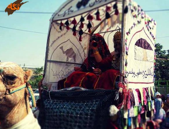 عکس شتر ترکمنی