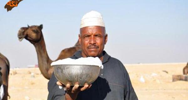 عکس شتر ترکمنی