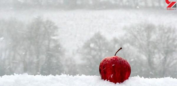 عکس خاله فریبا