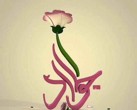 عکس ولادت جواد الائمه
