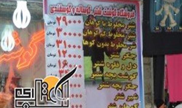 عکس جگر شتر