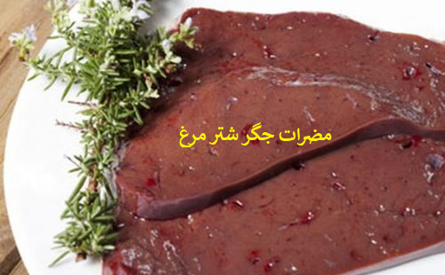 عکس جگر شتر