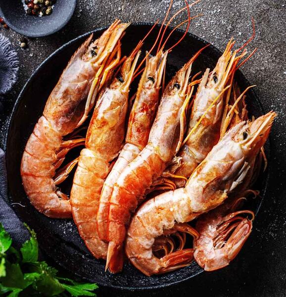 عکس غذای شاه میگو