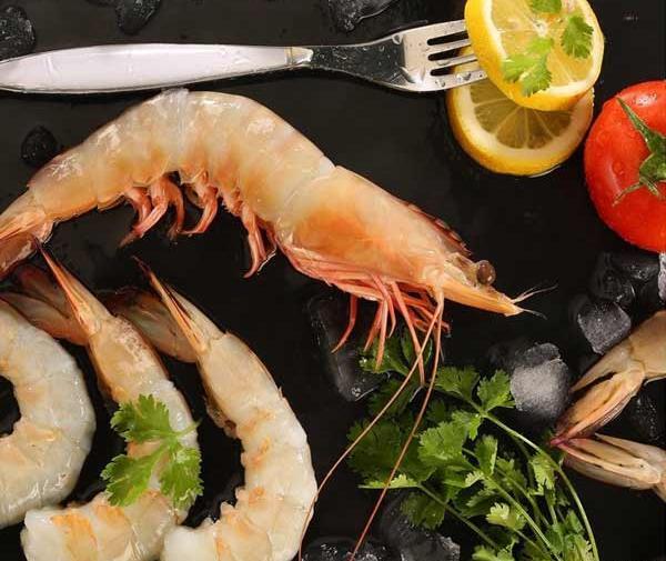 عکس غذای شاه میگو