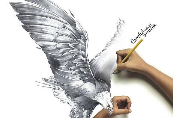 عکس عقاب برای طراحی