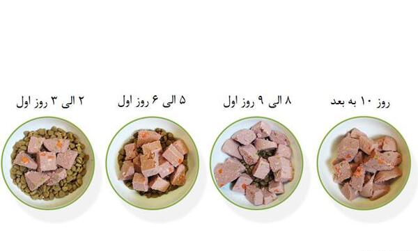عکس غذای توله