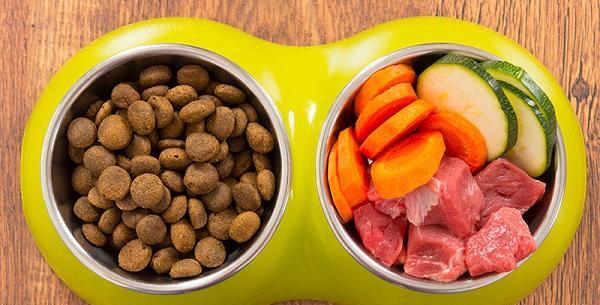 عکس غذای توله