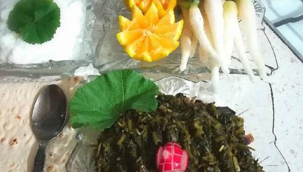 عکس غذای توله