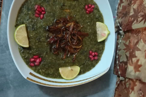 عکس غذای توله