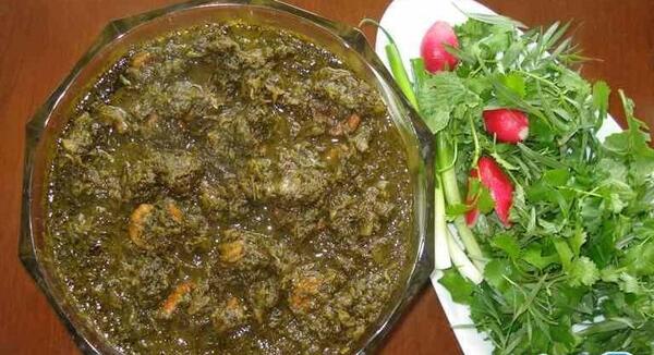 عکس غذای توله