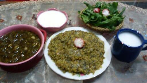 عکس غذای توله