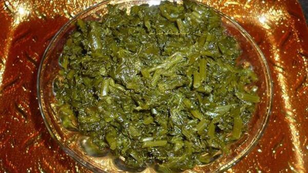 عکس غذای توله