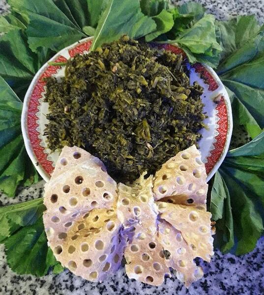 عکس غذای توله