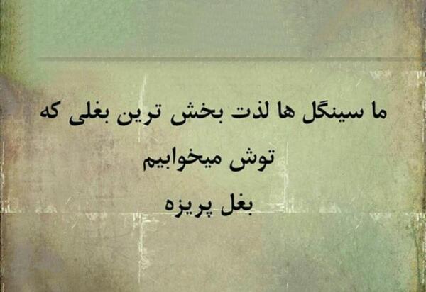 عکس ولنتاین و سینگلی