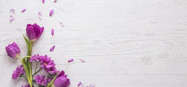 عکس بهار برای نوشتن متن