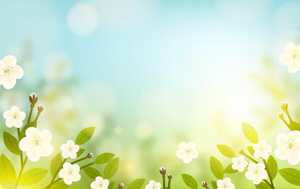 عکس بهار برای نوشتن متن