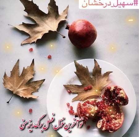 عکس یلدای تنها