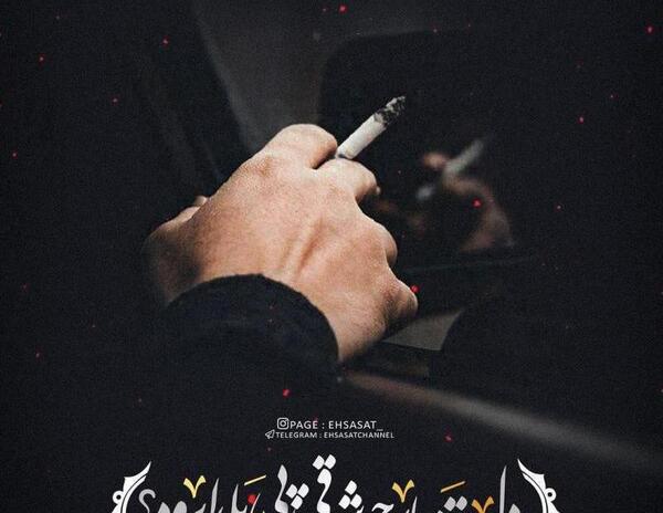 عکس یلدای تنها