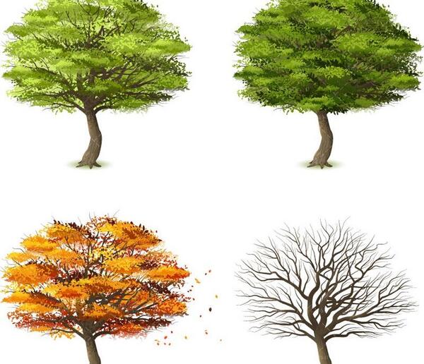 عکس های بهار تابستان پاییز زمستان