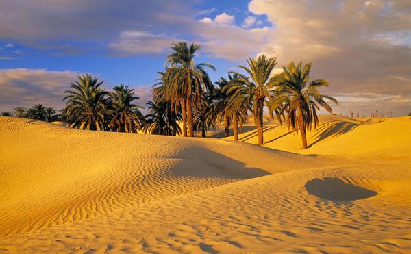 عکسهای منظره صحرا